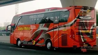 LIVERY JB3 HDD HINO RK KIDS PANDA...SEDYA MULYA..MOD JB3 HDD FARID MADYAWAN