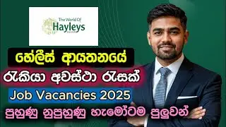 Haleys Job Vacancies in Sri Lanka 2025 I Best New Job Vacancies Sinhala