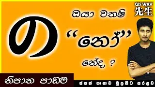 NO Particle の | නො නිපාතය | NO nipathaya | Japanese Grammar | Basic Japanese for beginners | JLPT N5