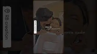 New cutie couple short status ❤️/RB creation