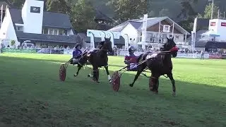 ROYAL WELSH SHOW HARNESS RACING FINAL 22 7 2014