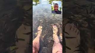 Los peces se comen mis pies #viral #fish #paz #nature #naturelovers