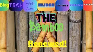 The Bamboo Club Renewed Trailer!
