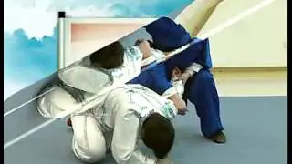 Chen Taijiquan practical fighting methods to resolve the