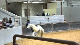 2015 Feathered Horse Classic &ndash; National Championship on January 14, 2016