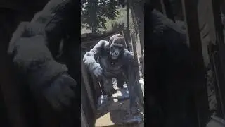 The Most UNIQUE Discoveries In Red Dead Redemption 2