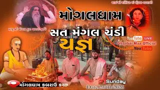 Live MogalDham Kabrau ||  Live Arati Mogal Dham Kabrau ||#Arati #live  #mogal #Live #mogalmaa
