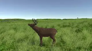 [Unity3D] Adding a deer family for the game 