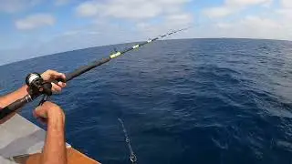 Bluefin aboard the Liberty - San Diego Sportfishing