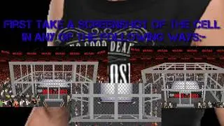 How to fight on top of the Hell In A Cell | WR3D