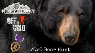 Wisconsin Black Bear Purple Heart Hunt 2020