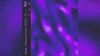 Glimlip x Bezzix - Lavish Box