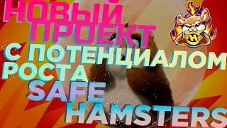 SafeHamsters - обзор проекта Gem x100💎🚀