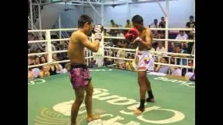 Lion Muay Thai