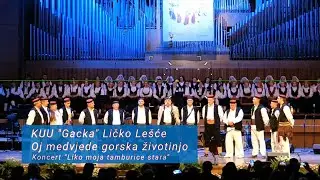Oj medvjede gorska životinjo - KUU 