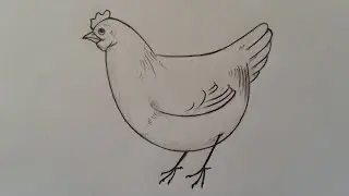 كيف أرسم دجاجة بطريقة سهلة وبسيطة