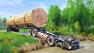 Top Logging Expert Reveals SECRET Dangers of Route Logging