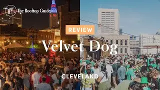 Velvet Dog in Cleveland - Review
