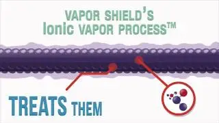 La Bella Vapor Shield Strings