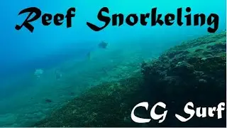 Dicky Beach Reef Snorkeling