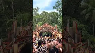 Amanh&atilde; sai meu full video do Adhana 🦒🌳 #rave #festival #djlife #djremix #dj #djviral #psytrance