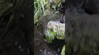 Водопад