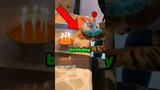 Ranking Cats Birthday. 🥳      #cat #funny #animals #birthday