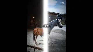 2024-2026 🫶💕
