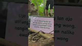 kata kata setory