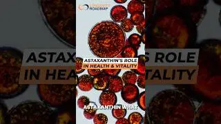 Astaxanthin&rsquo;s Role In Health & Vitality