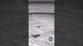 Warning: Viewer Discretion advised. Breaking news: hunters use drones to aid in hog hunting in Texas
