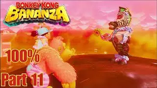 Donkey Kong Bananza &ndash; Freezer Layer | SL 502 + Cleanup SL 500 & 501 (100% Walkthrough - Part 11)