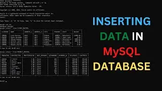 How To Insert Data In MySQL - How to insert records in a table with MySQL - Part 2