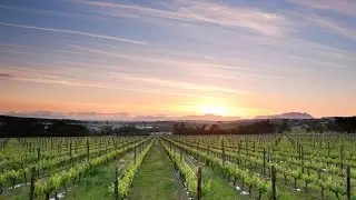 MEET: Our Luxury Winelands Tour Guide | Luxury South Africa Travel | Jacada Travel