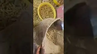 Turmeric processing machine. Turmeric grading/ Polisher machine. 9080941550