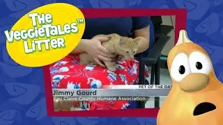 Pet of the Day: Jimmy Gourd | Wake Up Wisconsin