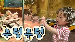 [건민일상] 건민이의 동물원 나들이 🐾