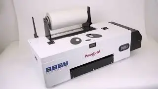 Procolored panda DTF printer demo video