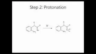 Fischer Indole Synthesis