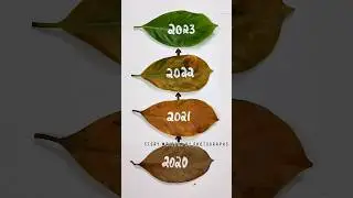 Happy new year art 2023 #leafart #shorts #viral #trending #diy
