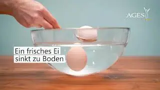 Der Rohe-Eier-Frische-Test | AGES