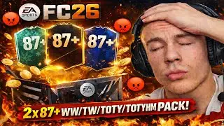 I Grinded FUT Champions for THIS?! 2x 87+ WW/TW/TOTY/TOTYHM Packs
