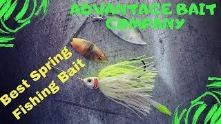Spinnerbait 101 | MUST HAVE