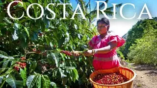 Visitando una hacienda de caf&eacute; en Costa Rica - Turismo Costa Rica