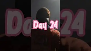Day 24.No force. Just flow