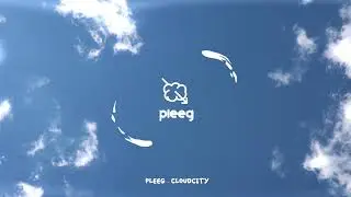 PLEEG MIX [HANAFEST 09/11/2021]