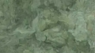 Bark Amate Paper Sea Green, 16 x 24 inch, Weight: 150 gsm