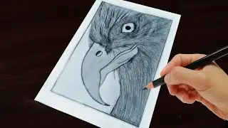 How To Draw Eagle Face || How To Draw Eagle Head || How To Draw Angry Bird Face || 3d