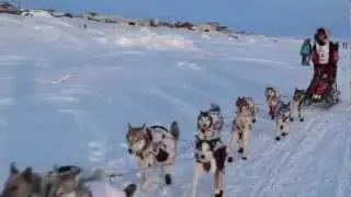 Aliy Zirkle arrives in Nome at the end of the 2012 Iditarod