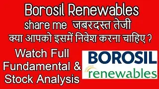 Should we invest in Borosil Renewables? Borosil Renewables Fundamental Analysis |